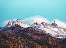 开云官网-尤文3-0终结那不勒斯6轮不败 戴维破门伊尔迪兹建功